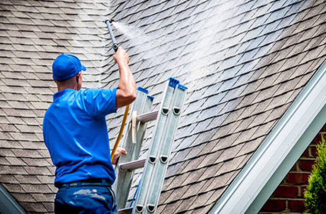 quincy roof cleaning